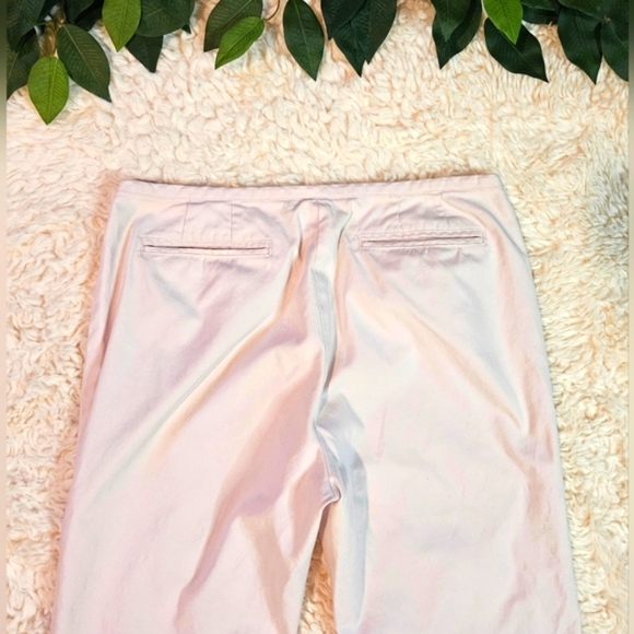 Banana Republic Martin Classic Stretch Baby Pink Slacks - Picture 4 of 6